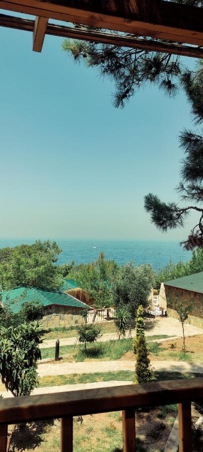 Rocas Roja Beach Hotel Faralya Dış mekan fotoğraf