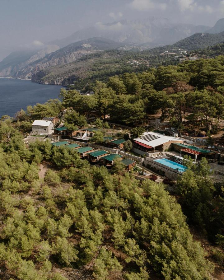 Rocas Roja Beach Hotel Faralya Dış mekan fotoğraf