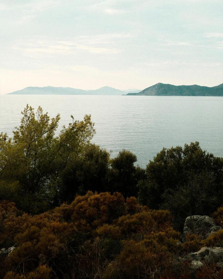 Rocas Roja Beach Hotel Faralya Dış mekan fotoğraf