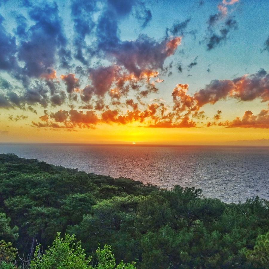 Rocas Roja Beach Hotel Faralya Dış mekan fotoğraf