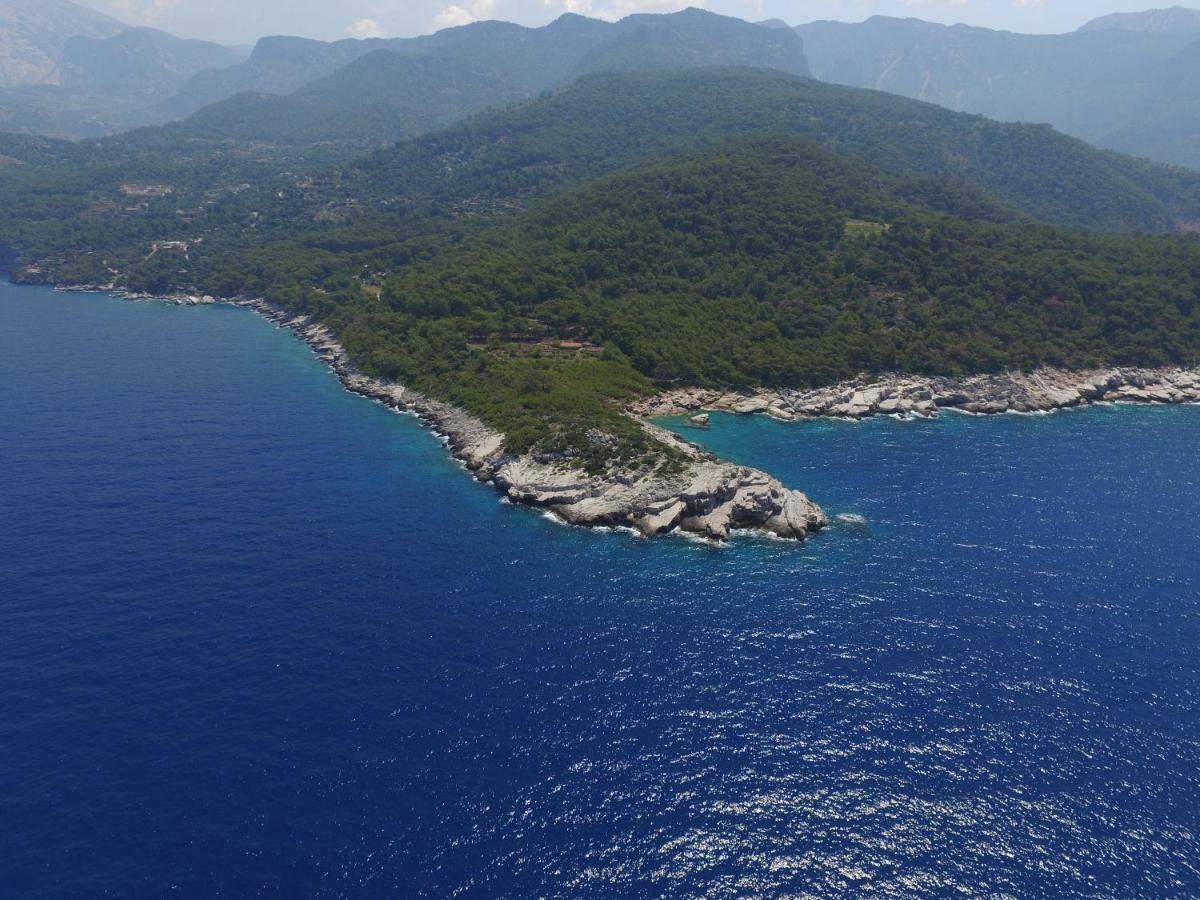 Rocas Roja Beach Hotel Faralya Dış mekan fotoğraf